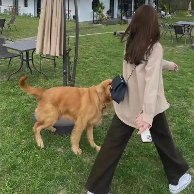 米老鼠的黑白动画片生涯